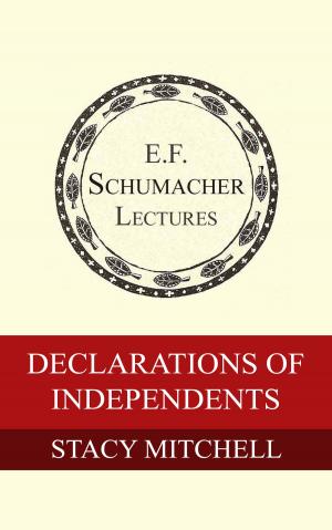 Cover of the book Declarations of Independents by Thomas Berry, Hildegarde Hannum