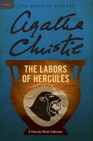 Cover of the book The Labours of Hercules by Noelle August
