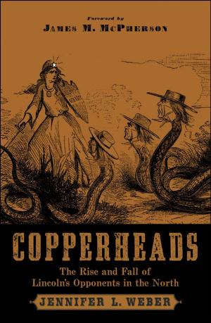 Cover of the book Copperheads : The Rise and Fall of Lincoln's Opponents in the North by Howard Jones