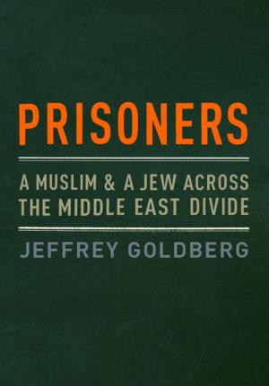 Cover of the book Prisoners by David Ben Zaken