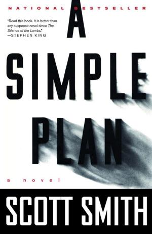 Cover of the book A Simple Plan by Ted Conover