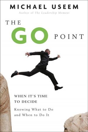 Book cover of The Go Point