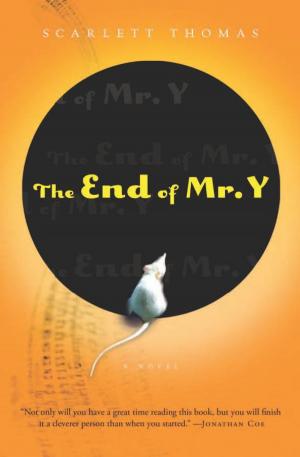 Book cover of The End of Mr. Y