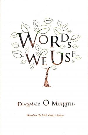 Cover of the book Words We Use by David McWilliams