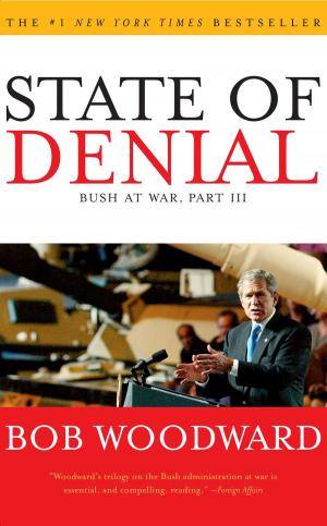 Cover of the book State of Denial by Mario Livio
