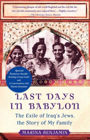 Book cover of Last Days in Babylon