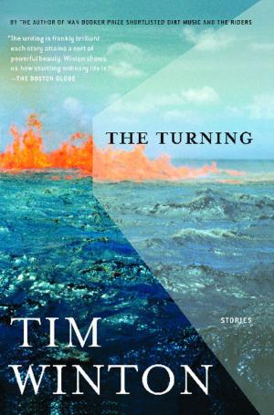 Cover of the book The Turning by Amir Husain