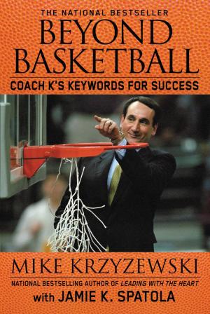 Book cover of Beyond Basketball