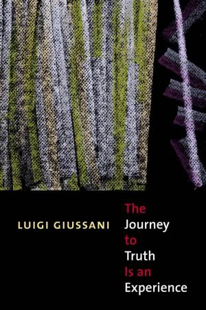 bigCover of the book Journey to Truth is an Experience by 