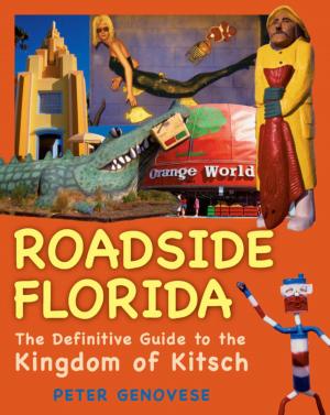 Cover of the book Roadside Florida by Elizabeth Letcavage, William Hollis