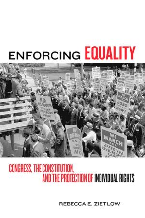Cover of the book Enforcing Equality by Dirceu Pereira Siqueira