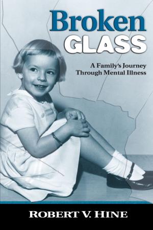 Cover of the book Broken Glass by Patricia Santana