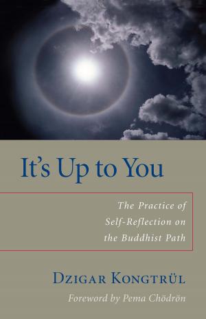 Cover of the book It's Up to You by The Dalai Lama