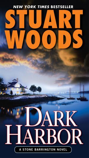Cover of the book Dark Harbor by Lauren Jameson