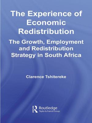 Cover of the book The Experience of Economic Redistribution by Katerina Maniadaki, Efhymios Kakouros