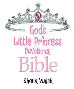 Book cover of God's Little Princess Devotional Bible