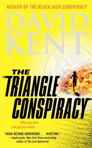 Cover of the book The Triangle Conspiracy by Jason Hawes, Grant Wilson, Tim Waggoner