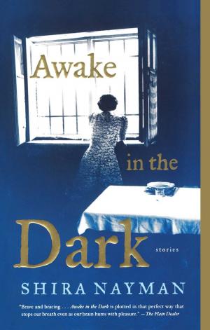 Cover of the book Awake in the Dark by Rachel Kushner