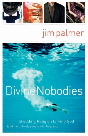 Cover of the book Divine Nobodies by Mary Connealy