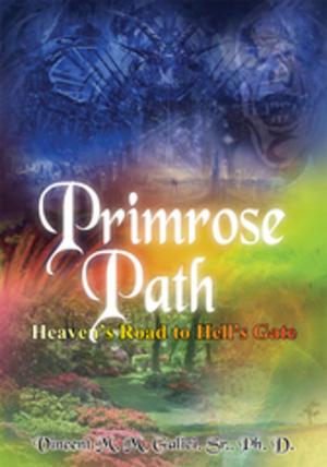 Cover of the book Primrose Path by Pauline Sanders RN