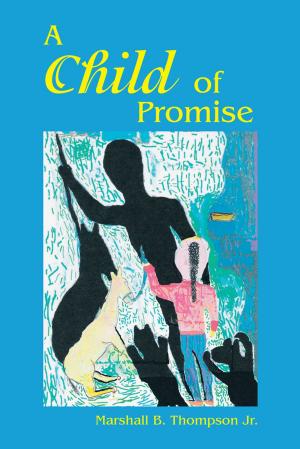 Cover of the book A Child of Promise by JEAN SHIM