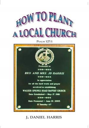 Book cover of How to Plant a Local Church