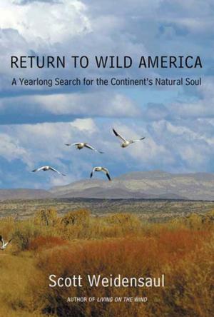 Cover of the book Return to Wild America by Bob Anderson