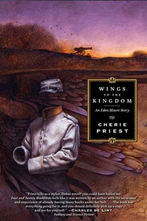 Cover of the book Wings to the Kingdom by L. E. Modesitt Jr.