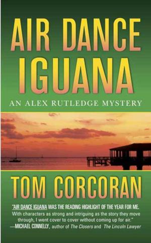 Cover of the book Air Dance Iguana by Susan Spann