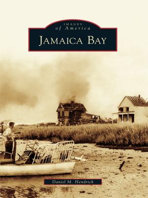Cover of the book Jamaica Bay by Rusty Tagliareni, Christina Mathews