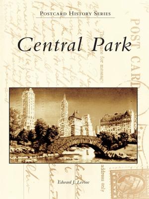 Cover of the book Central Park by Ron Romano