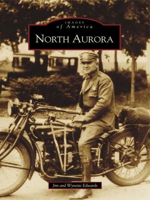 Cover of the book North Aurora by Paul W. Jaenicke