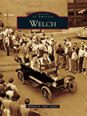 Cover of the book Welch by Don Everett Smith Jr.
