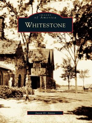 Cover of the book Whitestone by Meghan McCarthy McPhaul