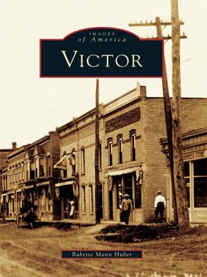 Cover of the book Victor by Mindie Burgoyne