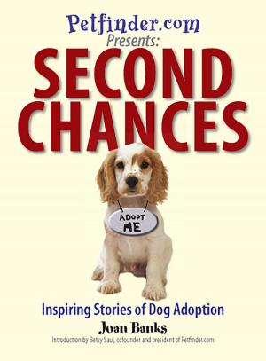 Cover of the book Second Chances by Belinda Hulin