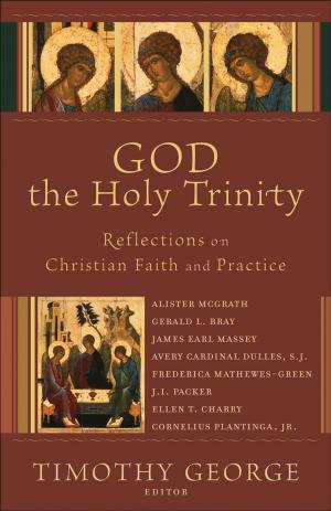 Cover of the book God the Holy Trinity (Beeson Divinity Studies) by Lorna Seilstad