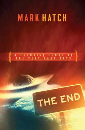 Cover of the book The End by John Goldingay