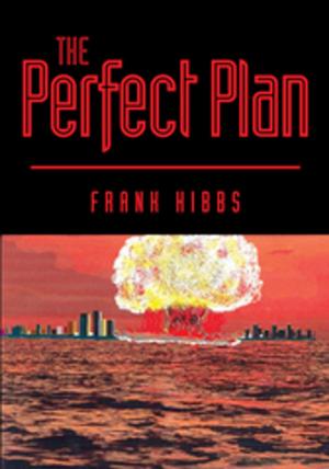 Cover of the book The Perfect Plan by Vernon Katz