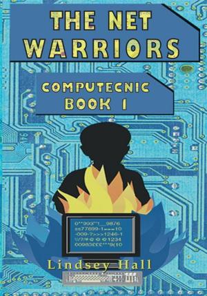 Cover of the book The Net Warriors by Audrey Keen-Hansen