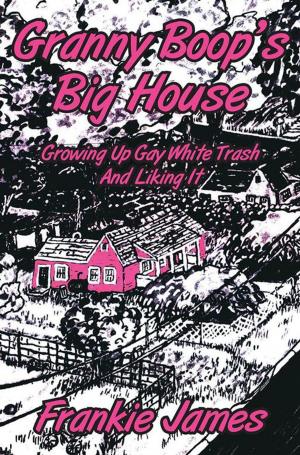 Cover of the book Granny Boop's Big House by J. A. Graffagnino