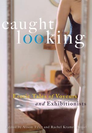 Cover of the book Caught Looking by Emma Donoghue