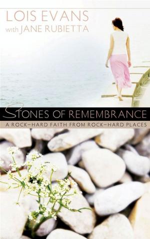bigCover of the book Stones of Remembrance by 