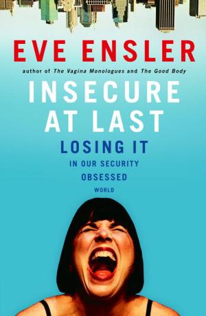 Cover of the book Insecure at Last by Daniel Lubetzky