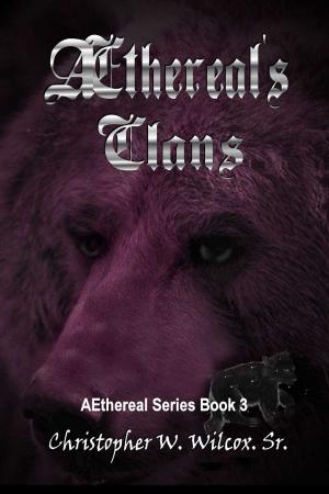 Cover of the book Aethereal's Clans by Stephen Wytrysowski