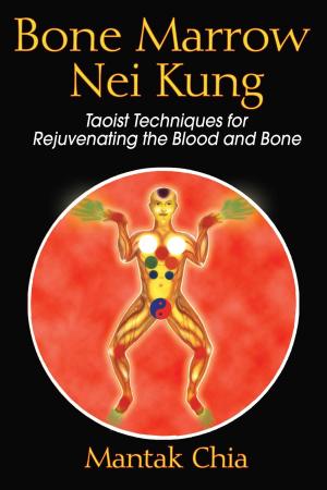 Book cover of Bone Marrow Nei Kung