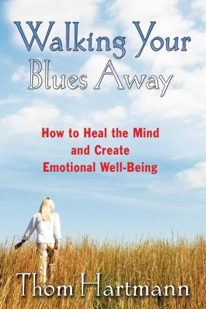 Cover of the book Walking Your Blues Away by Maud Nerman