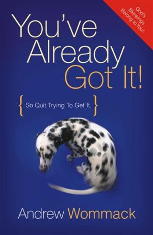 Book cover of You've Already Got It: So Quit Trying to Get It