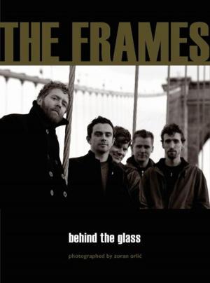 Cover of the book The Frames Behind The Glass by Marcelo Zocchio