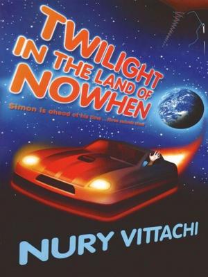 Cover of the book Twilight in the Land of Nowhen by David Greagg, illustrated by Binny Hobbs